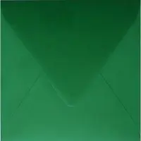 Netuno Gladde groene enveloppen A5 - 170 x 170 mm - 25 stuks - NK natgelijmde - 120 gram - Malmero -