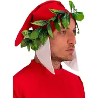 Carnival Toys hoed Dante Alighieri heren canvas rood/groen