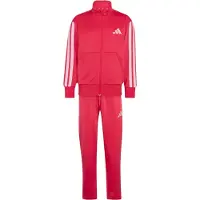 Adidas Trainingspak 'ESSENTIALS CLIMACOOL' framboos / wit