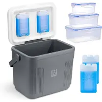 Brisby Grote Koelbox 22 Liter – Grijs – Tot 40 uur isolatie – 4 koelelementen vergrendeld in deksel – Ideaal voor camping en dagje uit – Frigobox