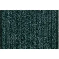 Rugsx Ruitenwisser MALAGA groen 6059 66x420 cm