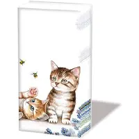Ambiente Zakdoeken 6 pakjes - Cats And Bees