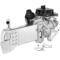 BORGWARNER 712085D EGR module