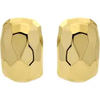 Luxenter Oorbellen 'Sarie' goud
