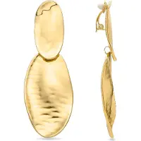 Luxenter Oorbellen 'Zinlay' goud