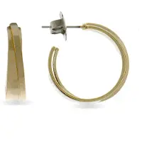 Luxenter oorbellen in 18K geel goud - Huiwe