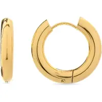 Luxenter Oorbellen 'Amyck' goud