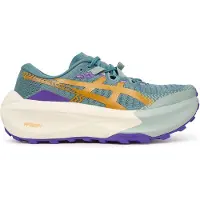 Asics Loopschoen 'Trabuco Max 5' blauw