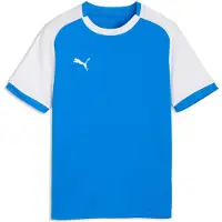 Puma Functioneel shirt 'Teamliga26 Matchday' blauw / wit