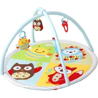 Skip Hop Explore and More Funscape Activity Gym