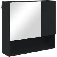 vidaXL Spiegelkast Zwart 59 x 17 x 55 cm Bewerkt hout