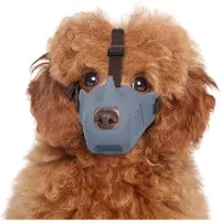 OEM Hondenmuilkorf - Hondenmuilkorf met rubberen comfort, verstelbare leren halsband, ademend siliconen mandje, geschikt voor kleine tot middelgrote honden (grijs, maat L)