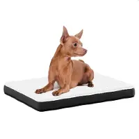 Avalo Orthopedisch Hondenkussen - Traagschuim - Wasbaar Antislip - 45x65 cm
