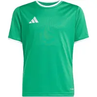 Adidas Functioneel shirt 'ENT26' groen / wit
