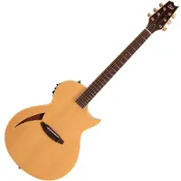 ESP Guitars ESP LTD TL-6 Electro-Acoustic Guitar Natural