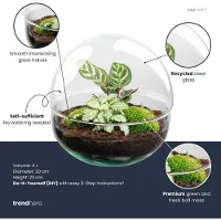 Urbanjngl Terrarium - Dome - ↑ 20 cm - Ecosysteem plant - Kamerplanten - DIY planten terrarium - Mini ecosysteem
