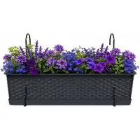 Prosperplast plantenbak Buster - antraciet - rechthoek - met twee ophangbeugels - 50 x 17 x 15 cm - kunststof - bloembakken - potten