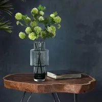 Everspring Kunstbloemen - Viburnum opulus takken creme x 4 - 75cm