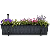 Prosperplast plantenbak Buster - antraciet - rechthoek - met twee ophangbeugels - 60 x 17 x 15 cm - kunststof - bloembakken - potten
