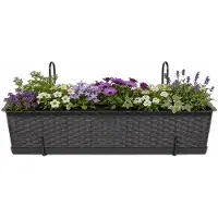 Prosperplast plantenbak Buster - donkerbruin - rechthoek - met twee ophangbeugels - 60 x 17 x 15 cm - kunststof - bloembakken - potten