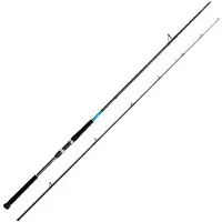 Shimano Fishing Bassterra Xt Shore Jigging Rod Zilver 2.89 m / 20-80 g