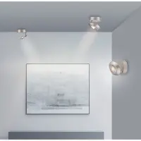 Paul Neuhaus Led plafondspot Pure Oculis Diamond grey
