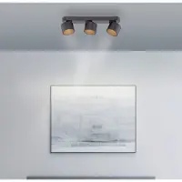 Pure Plafondlamp , Cup, dimbare, Zwart, Woonkamer, Metaal, Modern