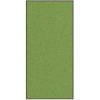 vidaXL Deurmat Wasbaar Groen 120x250 cm