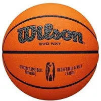 Wilson Electronics Basketbal