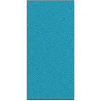 vidaXL Deurmat Cyaan en Zwart 120 x 250 cm 100% Polyamide