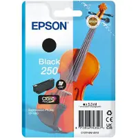 Epson 250 (C13T16N14010) Inktcartridge Zwart