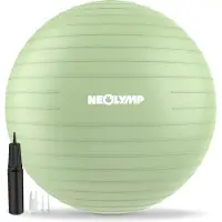 NEOLYMP Ergonomische gymbal Anti-Burst 300 kg zitbal thuiskantoor S