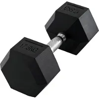 HOMCOM Halter, halter van 17,5 kg, gewicht, antisliphandgreep, zwart+zilver