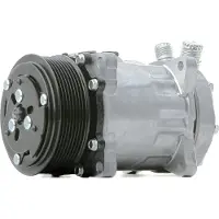 RIDEX 447K0367 Aircopomp