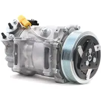 RIDEX 447K0267 Aircopomp
