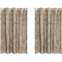 vidaXL Velvet Gordijnen 2 st champagne 175 x 140 cm Fluweel