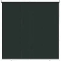vidaXL Buitenrolgordijn, 90% UV-blokkering, donkergroen, 160 x 230 cm, HDPE