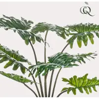 Green Boutiq Kunstplant - Philodendron - 60 cm