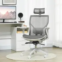 HAUSS SPOLE Bureaustoel - Ergonomisch Ontwerp - Met Hoofdsteun En 3 Standen - Voor Thuiswerk En Kantoor - Schuim - Grijs
