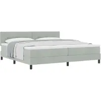 vidaXL Boxspring bed met hoofdeinde Lichtgrijs 200 x 200 cm Fluweel