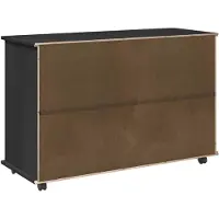 vidaXL Rollende kast Zwart 100 x 39 x 65,5 cm Massief vurenhout