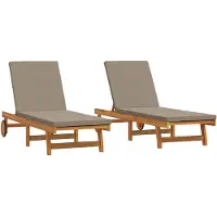 vidaXL Ligstoel 2 st Massief Acacia Hout Bruin