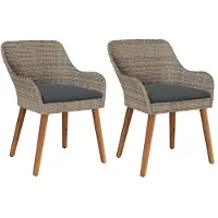 vidaXL Tuinstoel 2 st Zwart poly rattan