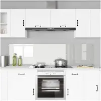 vidaXL Keukenachterwand 2 st Transparant 100 x 50 cm gehard glas