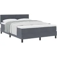 vidaXL Boxspringbed met hoofdeinde, donkergrijs, 160 x 200 cm, fluweel
