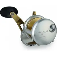 Shimano Talica 8 Rh Trolling Reel Goud