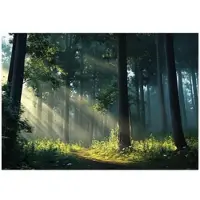 WALLARENA - Fotobehang - 350x250 cm - 3D natuur met zon en bomen voor slaapkamer en salon