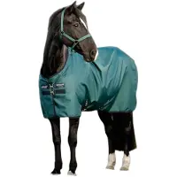Horseware Ripstop 900D Turnout 200g Dynasty Groen/Navy & Zilver 125