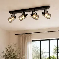 LumenXL Plafondlamp met smoke grijs glas, 4-lichts - Lucie