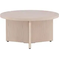 QUVIO Salontafel - Whitewash Hout - Moderne Stijlvolle Blikvanger
